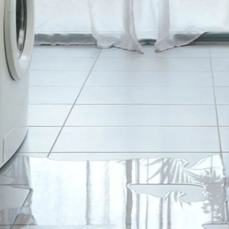 Appliance Leak Cleanup in Calhoun, KY