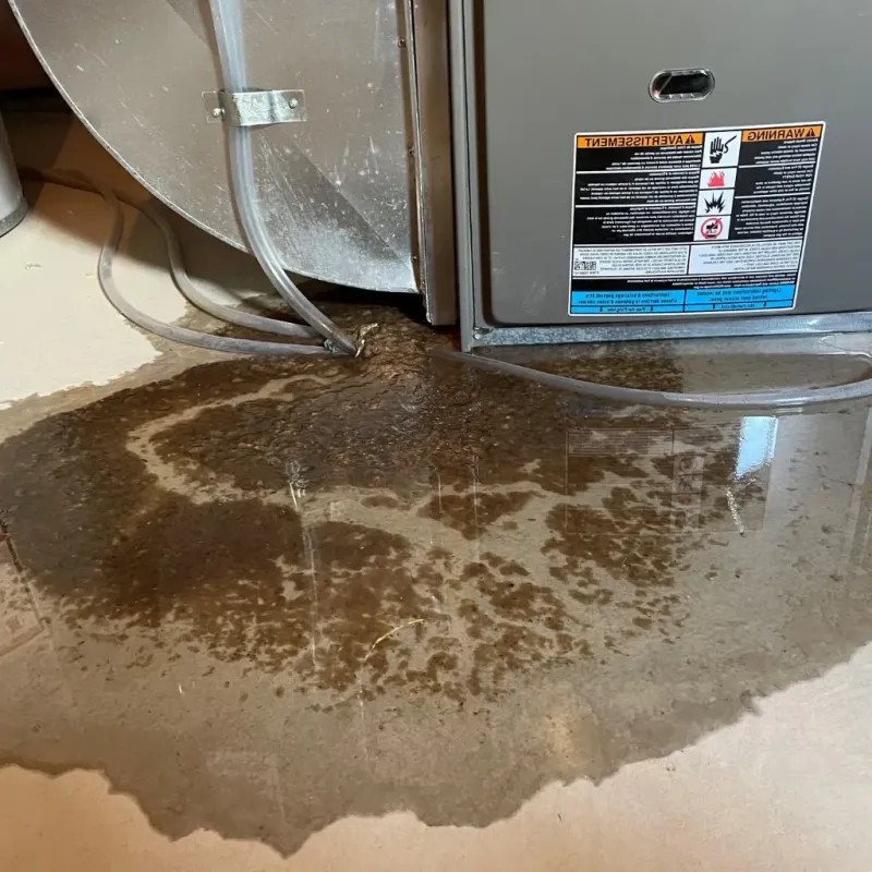 Pipe Burst and Leak Restoration in Calhoun, KY