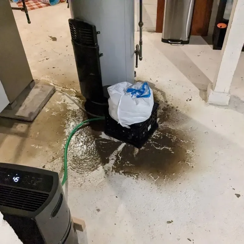 Sewage Backup Cleanup Service in Calhoun, KY